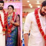 serial actress meera muralidharan wedding