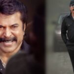 mammootty in telugu movie