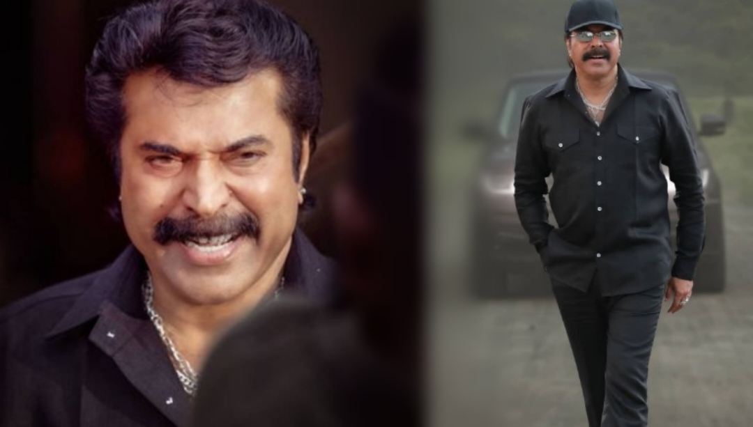 mammootty in telugu movie