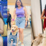 Singer Abhaya Hiranmayi introduces her pet dogs